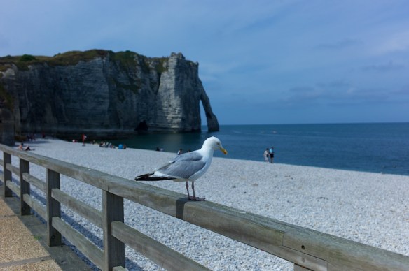 Leica M9; 35mm; ISO 160