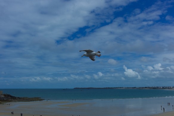 Leica M9; 50mm; ISO 160