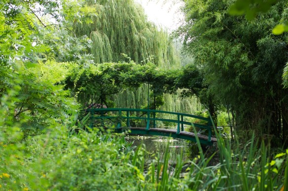 Leica M9; 50mm; ISO 160