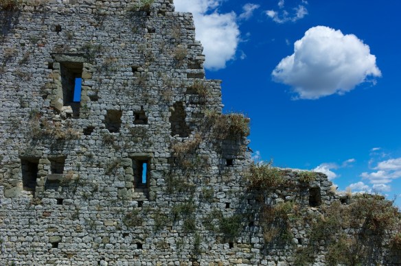 Summicron-M 1:2/35mm ASPH