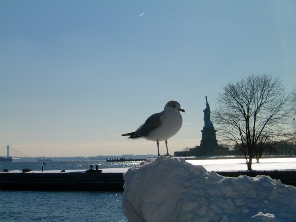 Il Piccione & la Statua