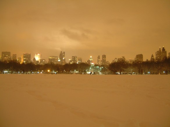 Neve@CentralPark