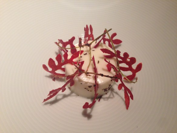 Sheep Milk Yoghurt & Crispy Beetroots