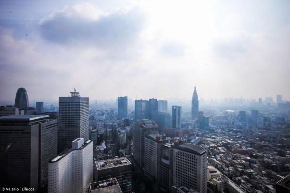 View from Park Hyatt (hot and humid)