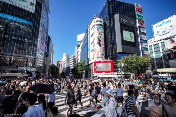 Shibuya Crossing