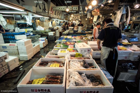 Tsukiji Fish Market
