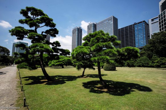 Hama-Rikyu Onshi Teien